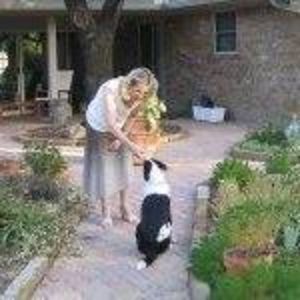 Meet your Posher, Mandi